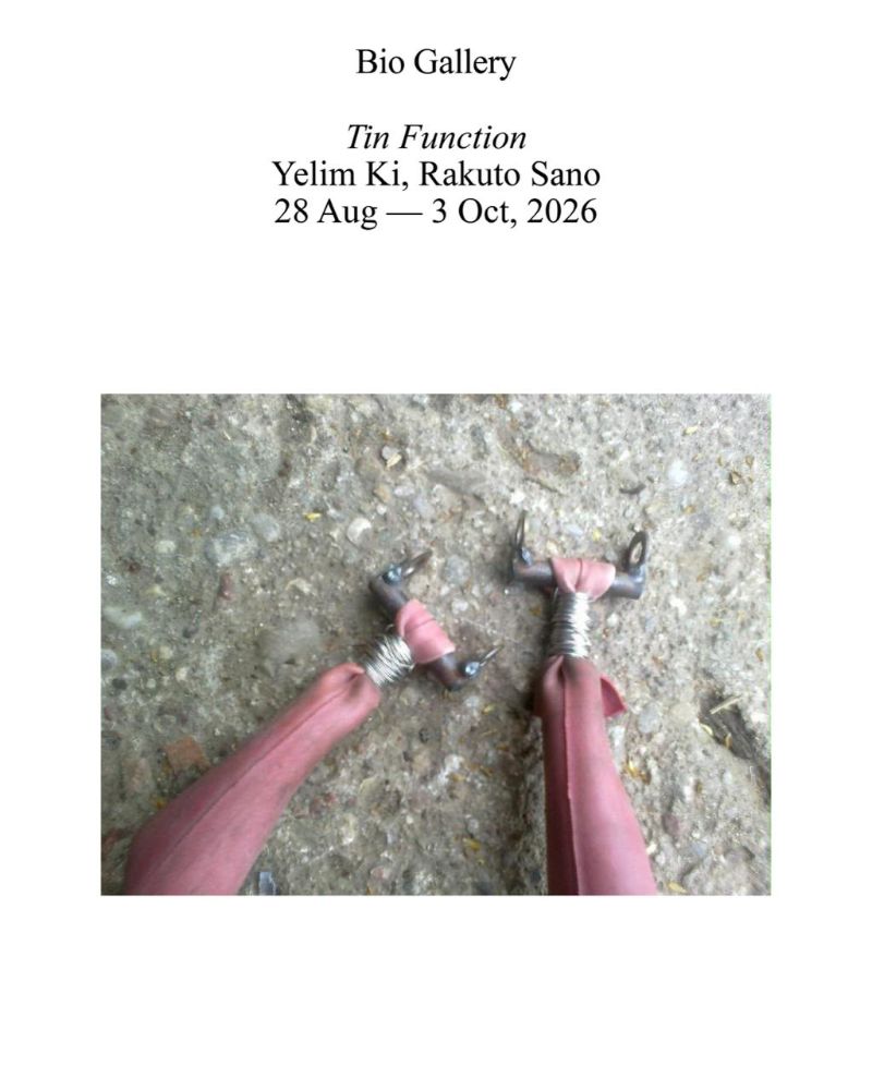 Tin Function