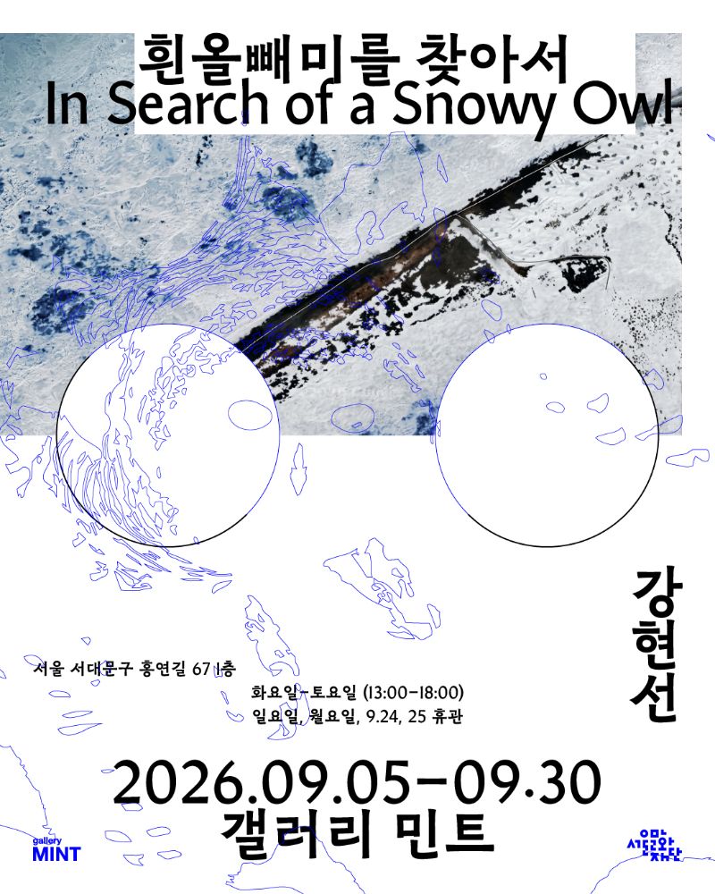 흰올빼미를 찾아서 포스터